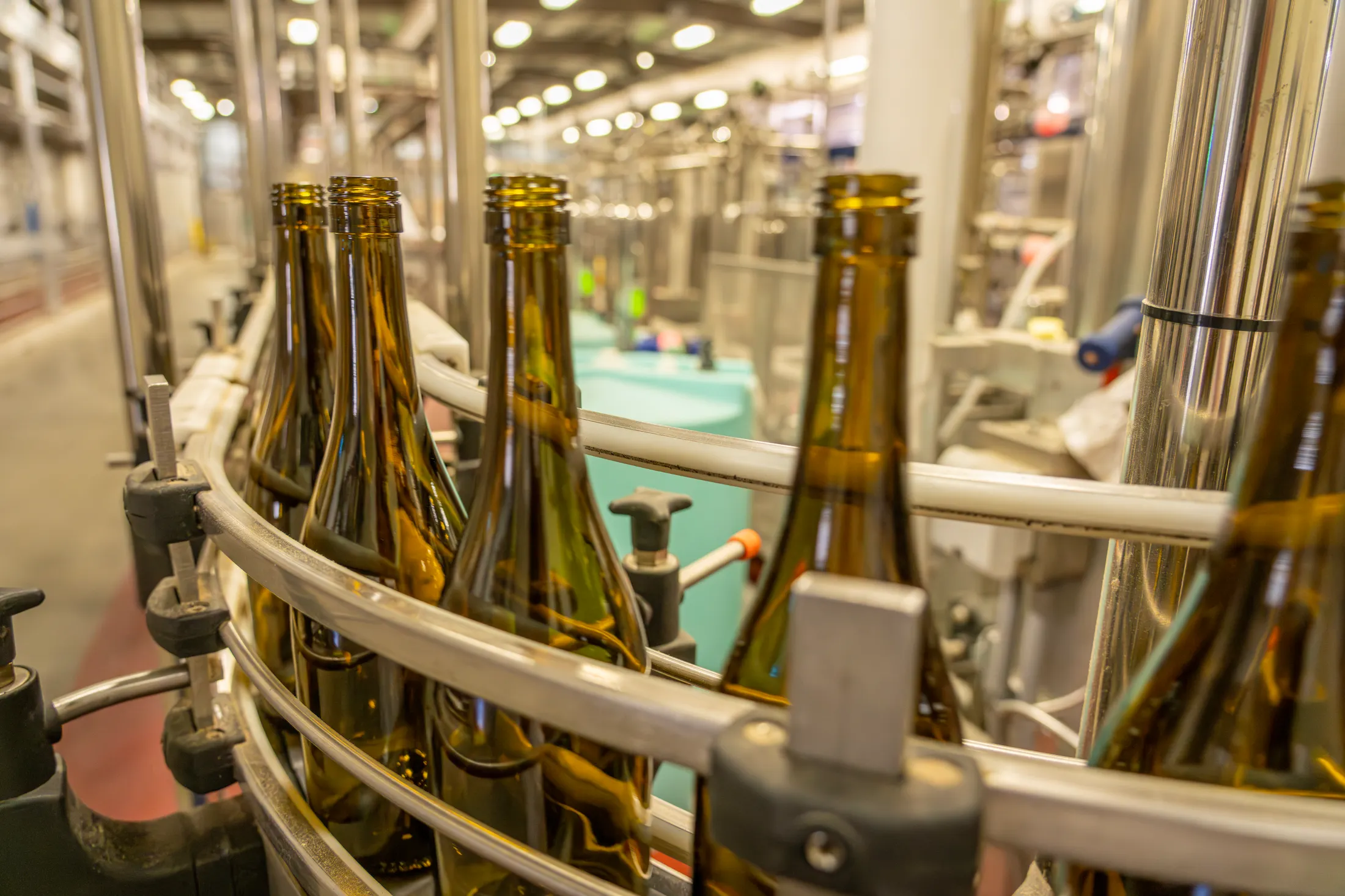 Glass bottles moving along a beverage production line